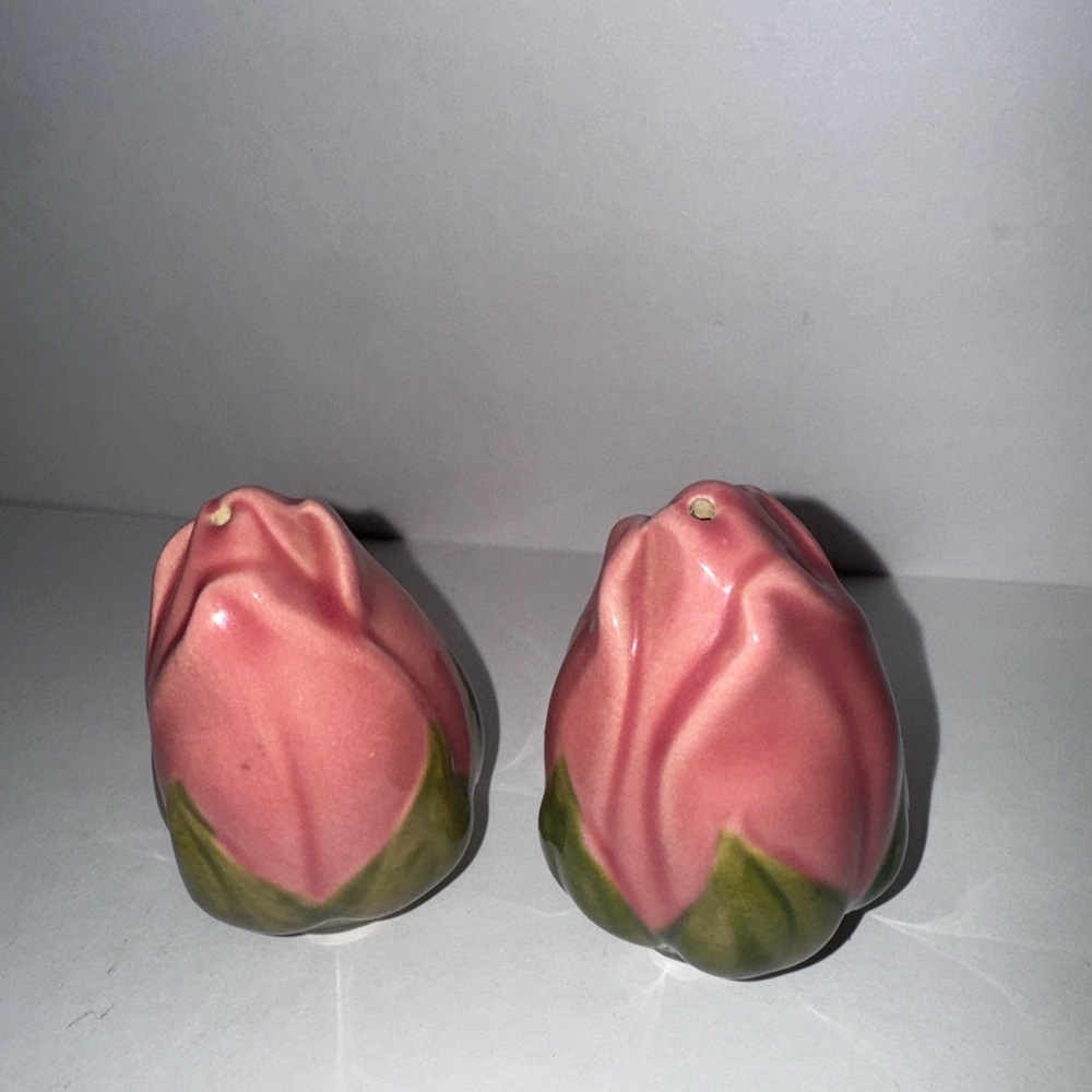 Franciscan desert rose salt and pepper shakers